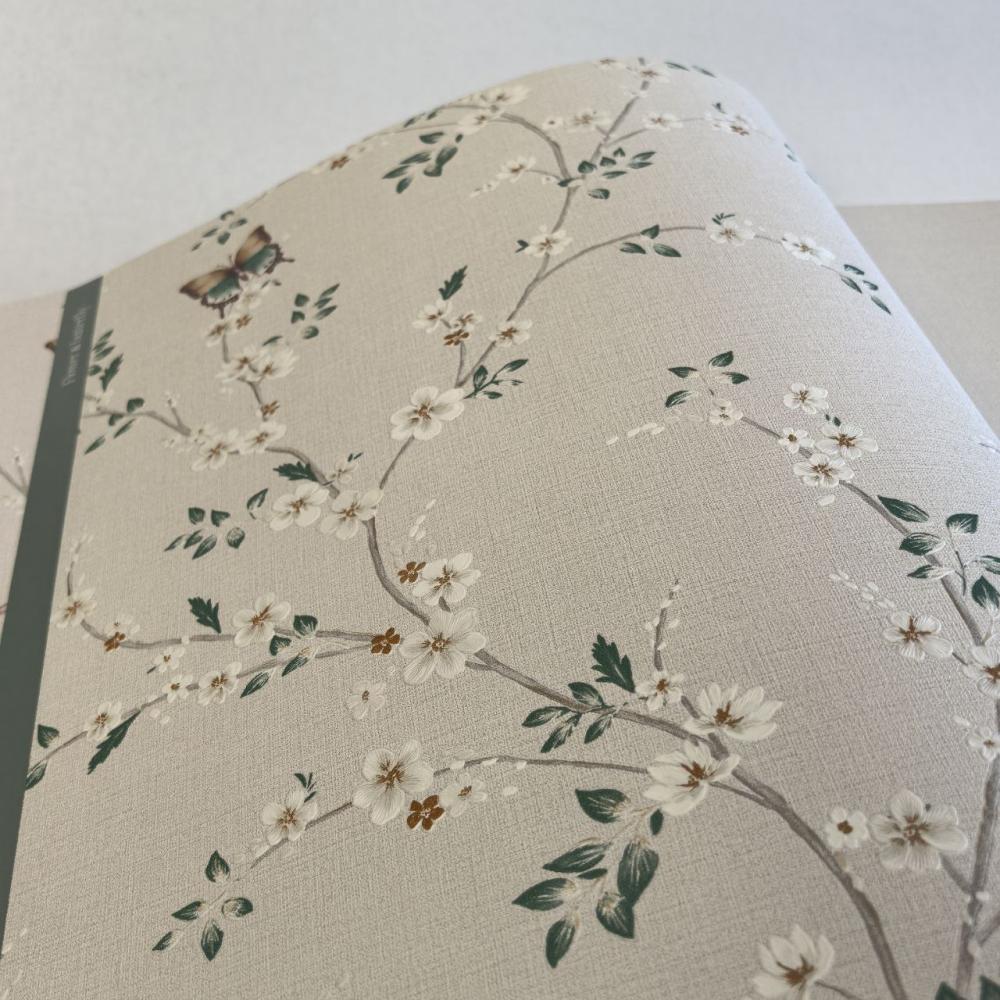 Andrea Rossi Spectrum Box 54460-2