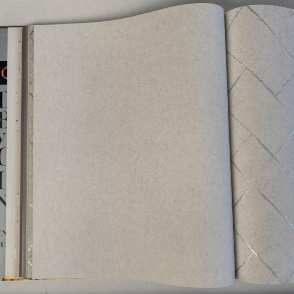 Andrea Rossi Cavolli 54422-1