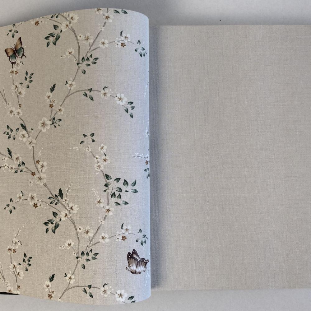 Andrea Rossi Spectrum Box 54460-2