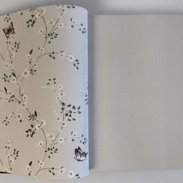 Andrea Rossi Spectrum Box 54460-2