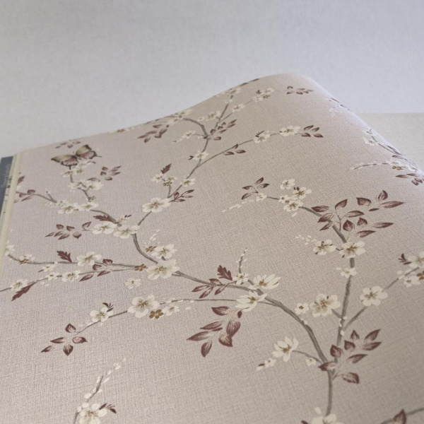 Andrea Rossi Spectrum Box 54460-4