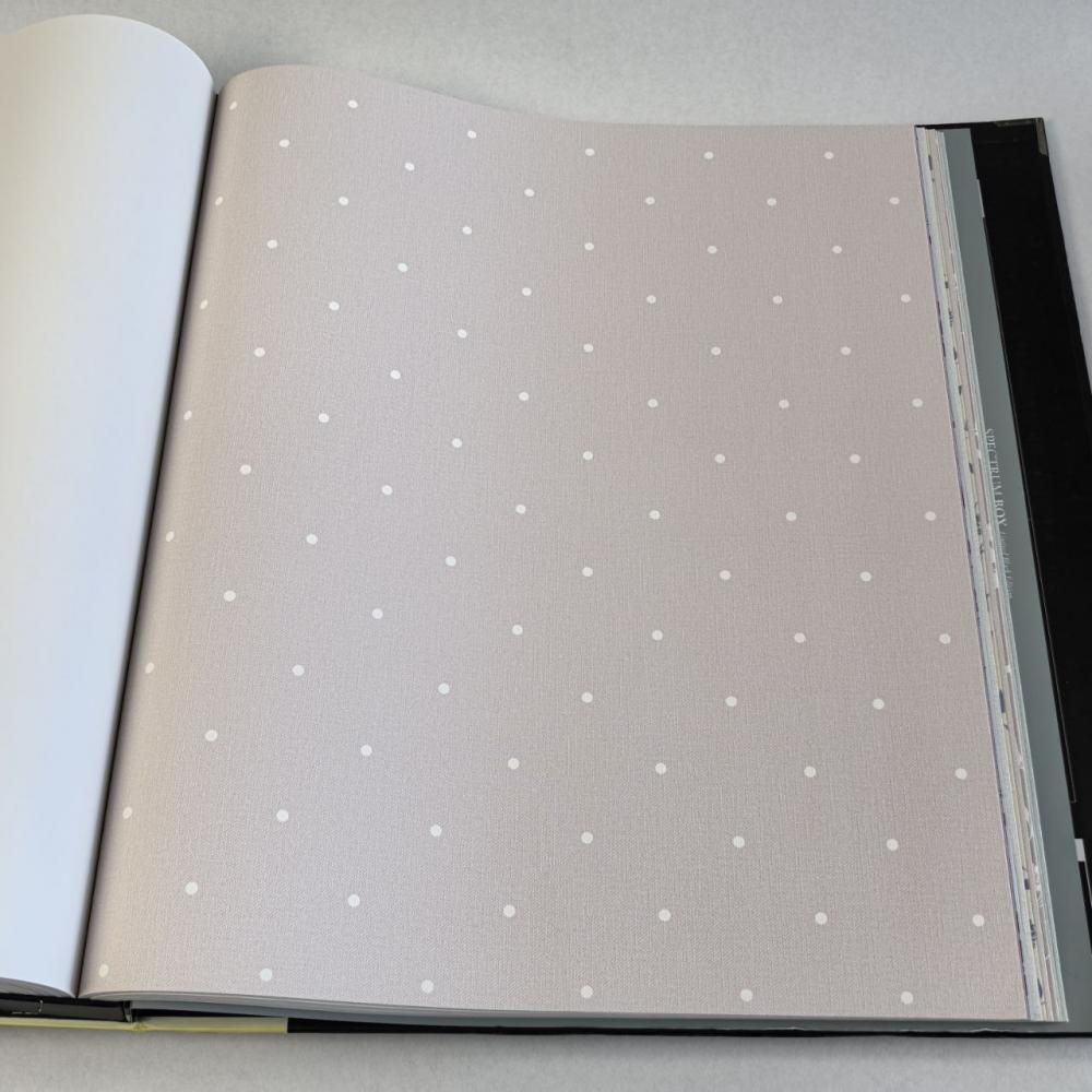 Andrea Rossi Spectrum Box 54454-19