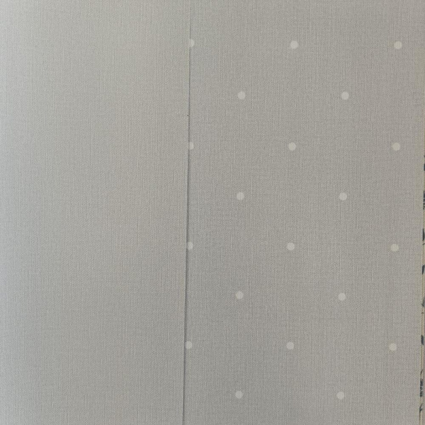 Andrea Rossi Spectrum Box 54455-6