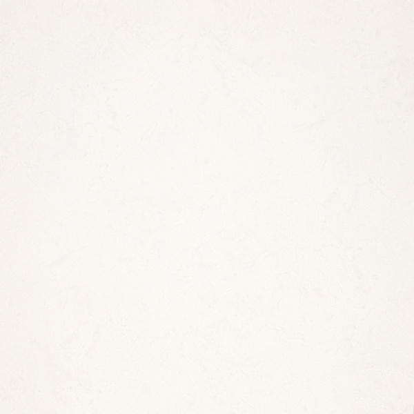 Fipar Modelli Magici R 11580