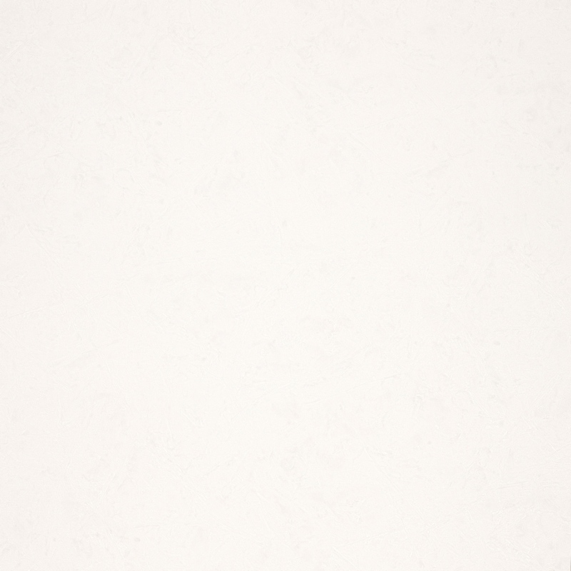 Fipar Modelli Magici R 11580