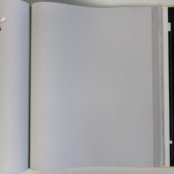 Andrea Rossi Cavolli 54418-9